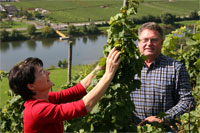 Rita und Karl - Josef bei der Arbeit in einem der Steillagenweinberge