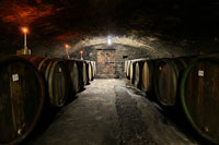 Der Gewölbekeller mit den traditionellen Holzf&auml;ssern