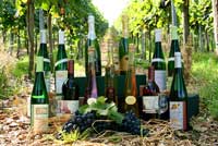 Ein Teil anseres Sortiments