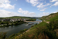 Der Weinort Trittenheim an der Mosel, eingebettet in die Moselscheife